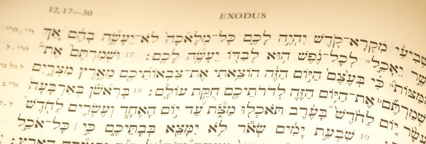 Exodus-12-Passover-portion