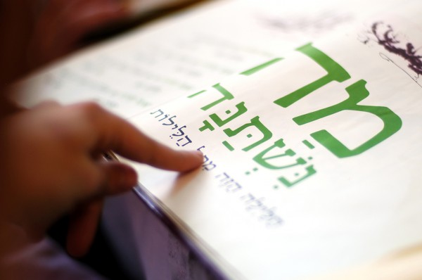 Hebrew diacritics, Hebrew vowels