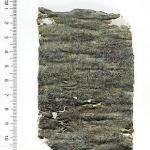 ancient-lead-curse-tablet