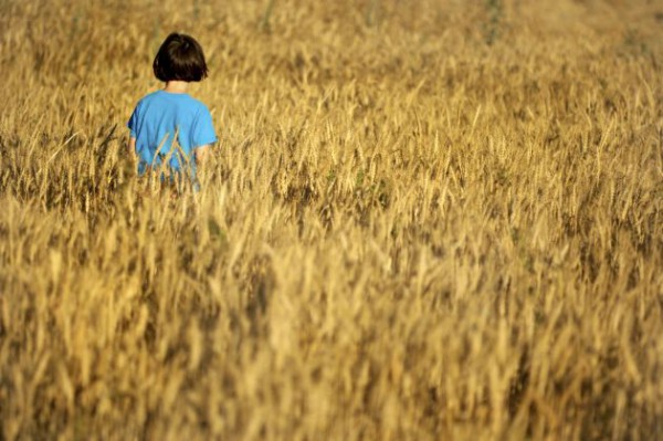 girl-wheat-field-Israel