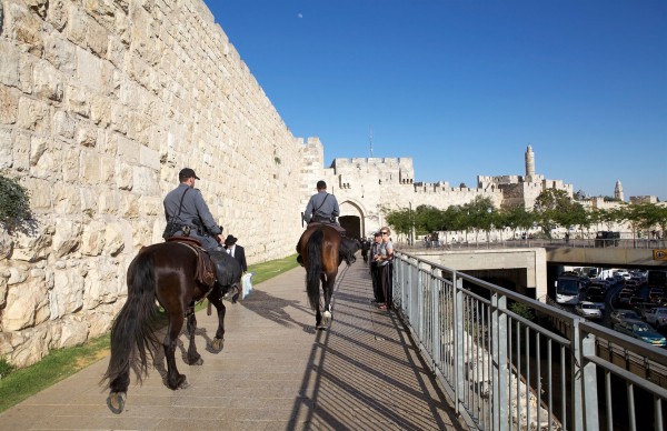 Jerusalem-horses