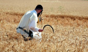 Keeping the Festival of Passover | Messianic Bible