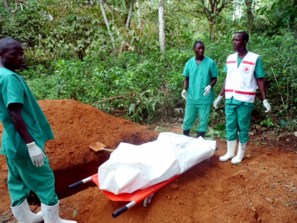 Ebola takes a toll in West Africa