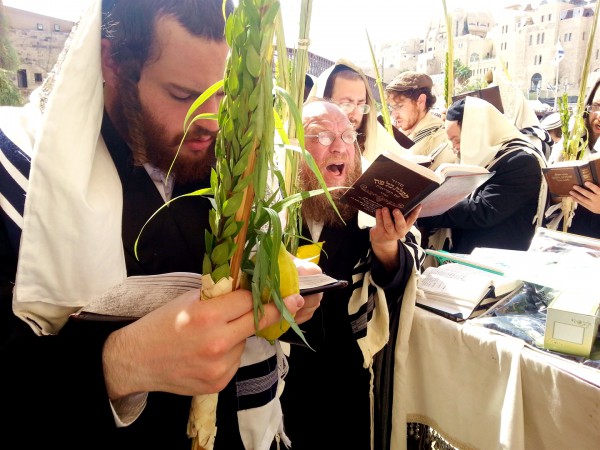 siddur-Four Species-Sukkot