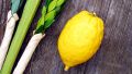 Lulav-and-Etrog-vertical