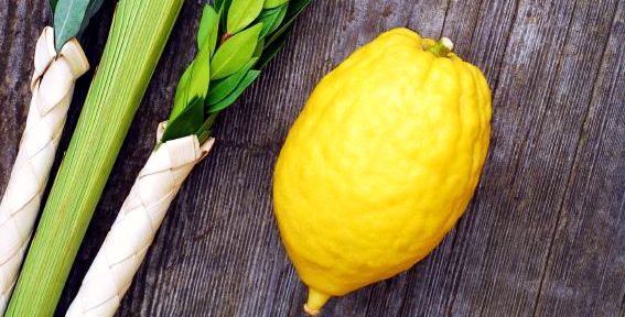 Lulav-and-Etrog-vertical