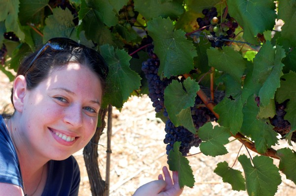 Woman in an Israeli vineyard (photo by Eli Brody)