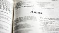 The book of Amos
