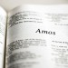 The book of Amos