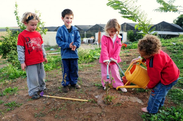 school children throughout Israel are planting trees on Tu B'Shvat