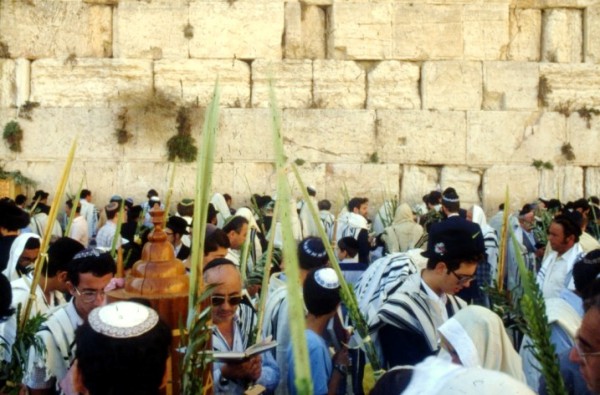 Sukkot, lulav, Jerusalem, Kotel, tallit, Jewish prayer