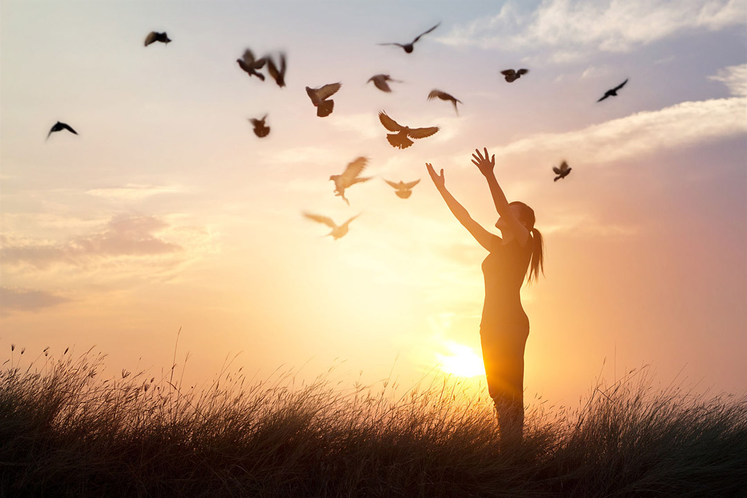 Woman in sunset, birds flying, freedom