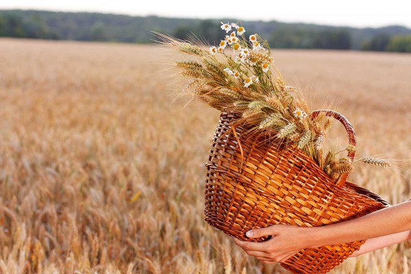 basket_wheat, harvest, Temple sacrifice